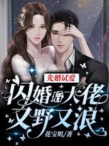 先婚试爱:闪婚后大佬又野又浪